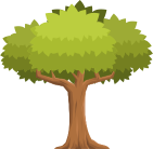 Tree 3